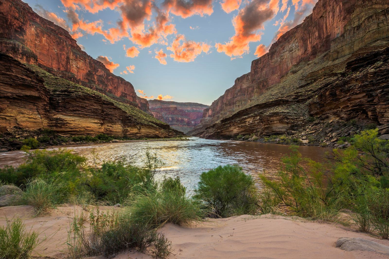 The Colorado River running past green shrubs between high canyon walls at sunset